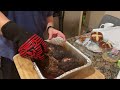 Smoked Pork Butt/Pulled Pork/homemade coleslaw | BBQ Masterish