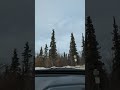 quick drive to denali