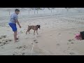 tucker at the beach, ocean city 4/9/24(1)