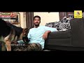 ஹிட்லரையே அழ வெச்ச DOG | All About Dogs EPISODE - 17