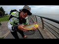 The Magic of Urban Fishing in Buenos Aires. Dorados, Carps and Sabalos in the Children's Park