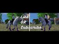 Would You Rather Star Stable Edition