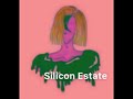 Waste (feat. Carter Ward) - Silicon Estate