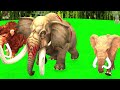 Woolly Mammoth vs 10 Big Zombie Bulls vs Giant Tiger Attack Cow Elephant Saved by Mammoth Mastodon