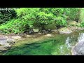 Natural Sounds for Sleeping, Gentle Stream Sounds, Bird Chirping Nature Sounds, 10 Hours White Noise