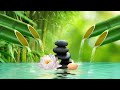 Relaxing music with sounds of nature Bamboo fountain [ BGM healing music ]