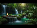 Relaxing Music | Piano Music | Spa, Study, Work, Sleep, Stress Relief  & Deep Focus #relaxationmusic