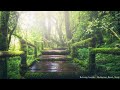 3 HOURS SOOTHING MUSIC WITH TROPICAL FOREST SOUNDS FOR STRESS RELIEF