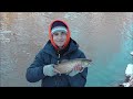 Father & Son Late Fall Brown Trout Fishing 2013