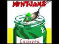 Mint Jams - Casiopea with the Super Mario 64 soundfont