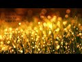 Relaxing Music, Meditation Music, Stress Relief, Piano Music, Calming Music, Study Music