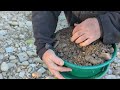 Western Washington Gold Prospecting - Clark County