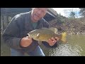 Smallmouth fishing was on fire in my local creek!
