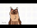 Animation effect called boiling practice with a cat