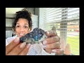 Crystal/Mineral unboxing video 8