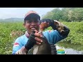 EDAN ! CAMPURAN LUMUT INI TERNYATA AMPUH UNTUK UMPAN MANCING IKAN NILA