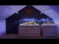 The END of my Aquariums: Breaking Down the Fish Room