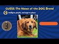 GUESS Type of Dog I Dog Breed Quiz I 🧠 🦮🐶