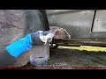 How To Repair Rust On A Car With Fiberglass Without Welding TREATING RUSTED METAL  Monte Carlo CL
