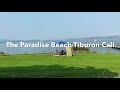 Places || The Paradise Beach Tiburon California