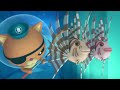 Octonauts - The Lionfish | Cartoons for Kids | Underwater Sea Education