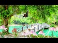 Расслабляющая музыка, фантастическая атмосфера в японском саду, пение птиц и звук воды