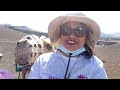 Lanzarote/Camel Ride Trip 2021