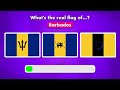 Flag It Right: Can You Choose the Correct Flag? #quiz #flag