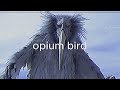 opium bird
