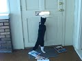cat vs the mailman