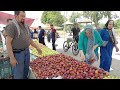 “gilan village market:local gilan market/volg village woman/local iran market/