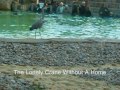 My London Weekend - Sunday (London Zoo, Regent's Park)