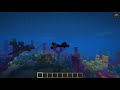 I finally found a coral reef in Minecraft 1.13 Java!