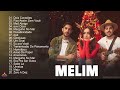 MELIM CD Completo 2023 ||  As Mais Tocadas do MELIM 2023  ||Top MPB Melhores 2023