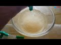 HOW TO: DIY brine shrimp hatchery | Simple & Easy, yet Very Efficient! (Artemia Cysts)