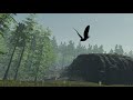 AUTISMOS MAXIMOS - The Forest VR