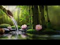 Beautiful piano music - Relaxing music for sleep, study & relaxation, calming music, bamboo