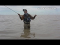 Dorados con poppers en el Rio de la Plata, el video