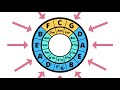 The Circle of Fifths Explained for Guitar | How to ACTUALLY Understand The Circle of 5ths on guitar