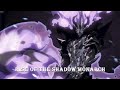 Rise of the Shadow Monarch - Solo Leveling