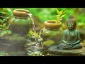 Relaxing Piano Music with Sounds of Nature - Stress Relief Music, Sleep Music, Meditation Music