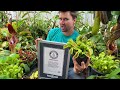 How To: The Guinness World Record Venus FlyTrap￼!