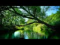 Relaxing Celtic Music - Spring Charm