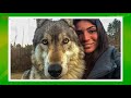 TOP 10 DOGS THAT LOOK LIKE WOLVES - PART 2