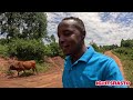 AMAZING PROGRESS IN OUR NEW HOME 🏠 IN KENYA, AFRICA || MODERN GATE INSTALLED || LETS ADDRESS THE...