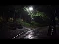 Fast Deep Sleep on Rainy Night | Relaxing Heavy Rain Sounds on Quiet Park | White Noise