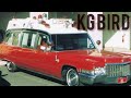 KG Bird - Ambulance