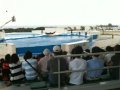 Ocean Expo park  dolphin show