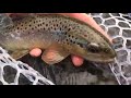 Fly Tying a Micro Blood Dot Egg - Globug Steelhead Egg Fly with Mike & Darren Ep 4 Wooly Piscator
