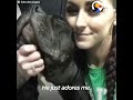 Scared Pit Bull Dog Gets Sister Who Changes His Life | The Dodo